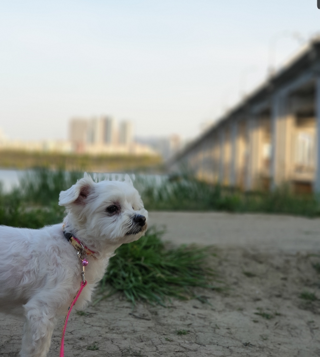 금강님의 프로필 이미지