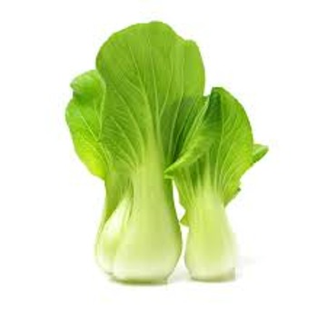 bok choy님의 프로필