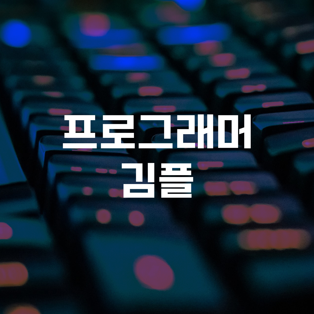 김플 프로필