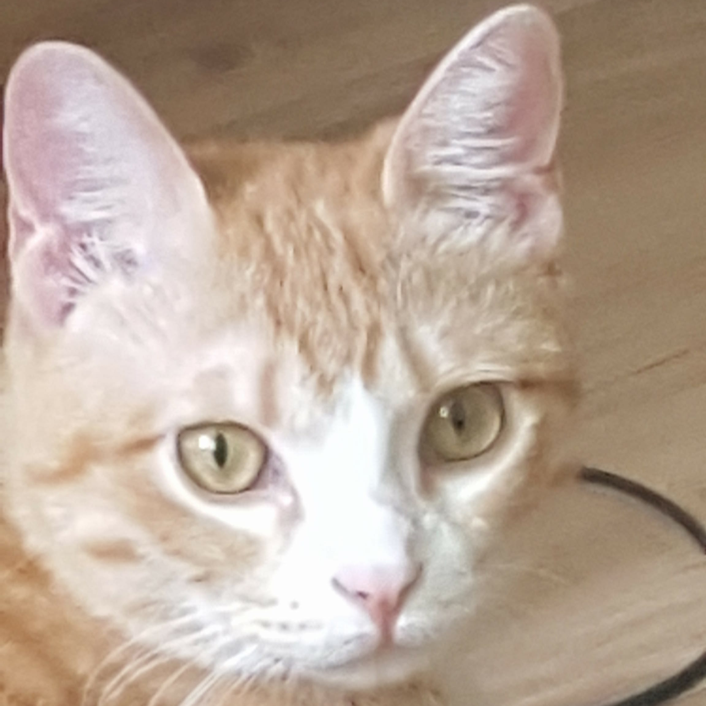 draw's profile image