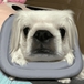 gaemilee6065900님의 프로필 이미지