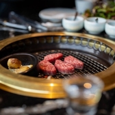 서관실님의 프로필