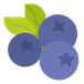 blueberry님의 프로필 이미지