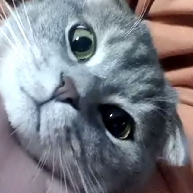 zzuguri._.님의 프로필 이미지