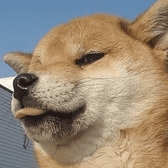 tn rh님의 프로필