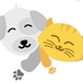 coookieee995538님의 프로필 이미지