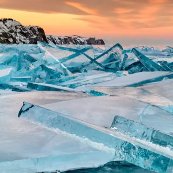 로드맵 참여중인 유저 프로필 사진