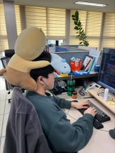 nullpoint{{userName}} さんのプロフィール