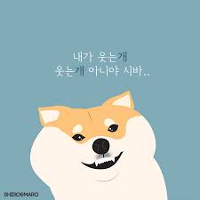 작성자 프로필 이미지