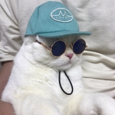 IGOR님의 프로필