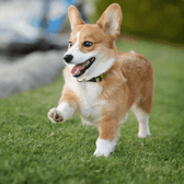 cooperk0710{{userName}} さんのプロフィール
