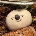 멘토 Woonghyun 프로필
