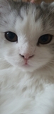 dding9님의 프로필 이미지