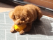 skql13231446님의 프로필 이미지