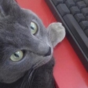 지식공유자 이미지