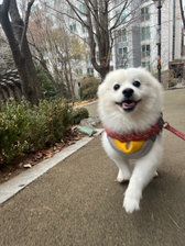 sangmoo{{userName}}'s Profile