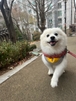 sangmoo님의 프로필 이미지