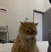 moooon{{userName}} さんのプロフィール