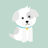kycasdzxcHồ sơ của {{userName}}