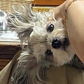 hyinnee{{userName}} さんのプロフィール