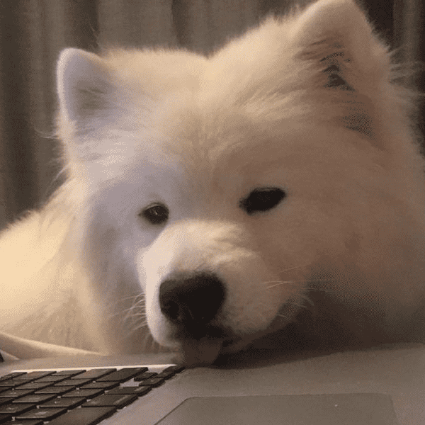 ddlovesbread28's profile image