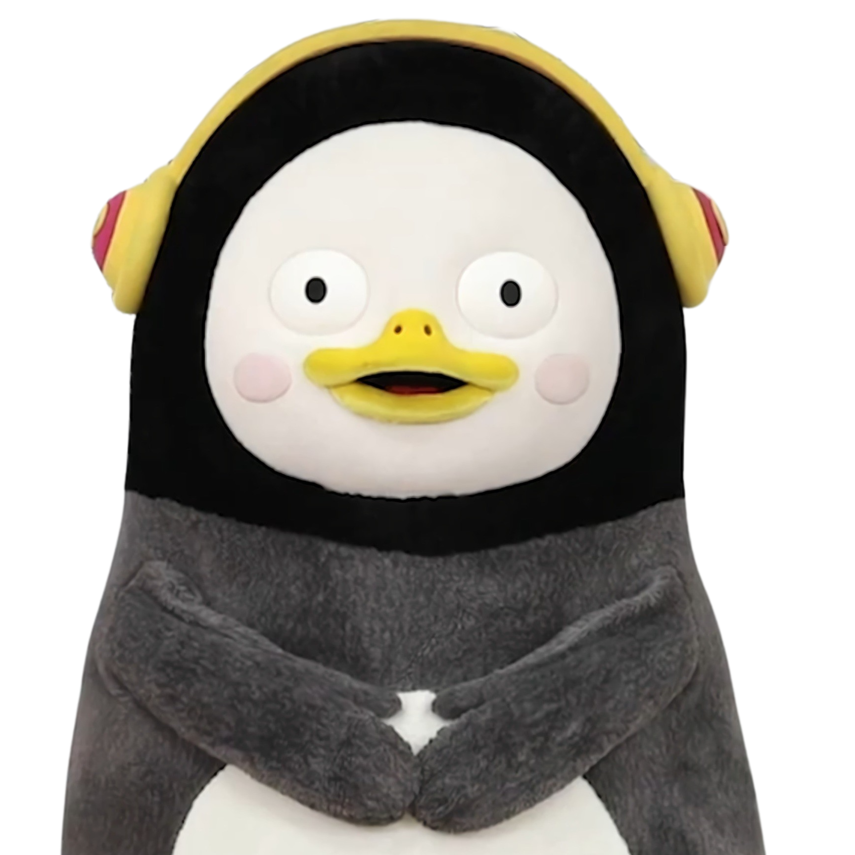 dbskrltjq님의 프로필 이미지