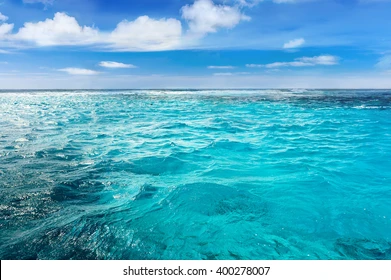 183800님의 프로필 이미지