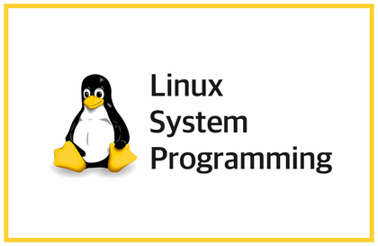 리눅스 시스템 프로그래밍 - 이론과 실습강의 썸네일