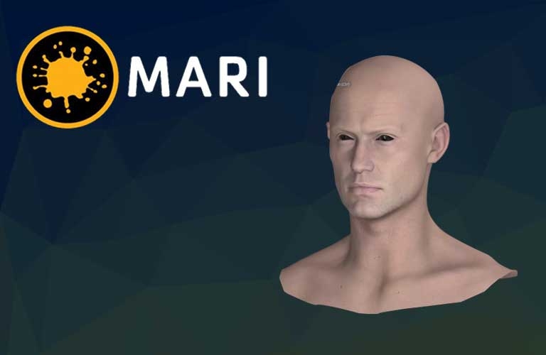 디즈니 애니메이션 스튜디오 look dev artist 에게 배우는 Mari 2.0 사용법