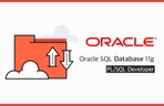 Thumbnail image of the 윤재성의 Oracle SQL Database 11g PL/SQL Developer